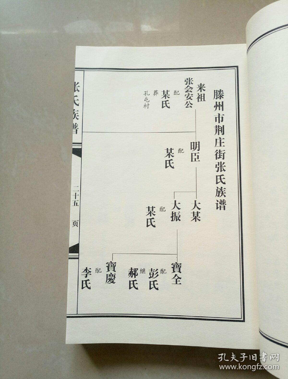 张氏族谱(山东省滕州市)