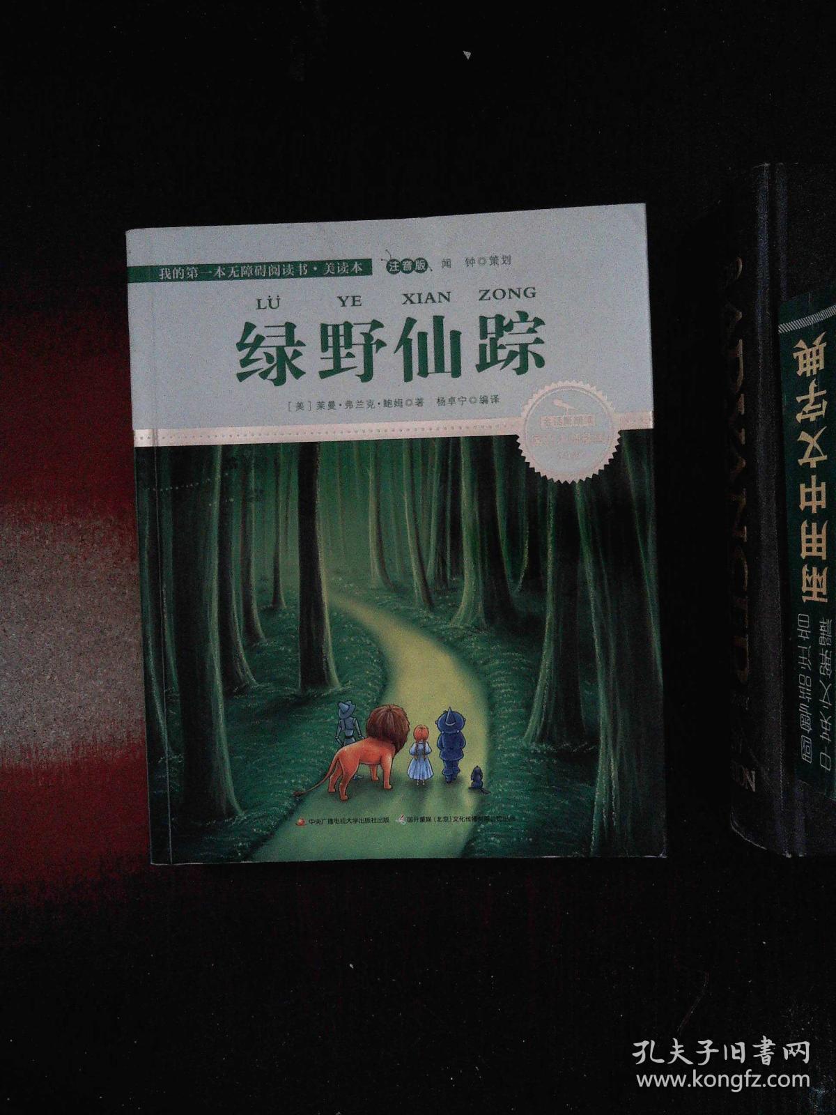 绿野仙踪 彩绘注音 国际插画家倾情创作 中国播音主持金话筒奖得主