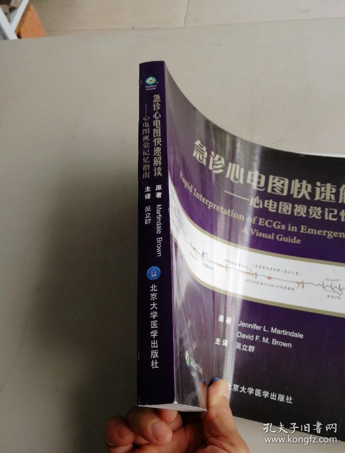急诊心电图快速解读:心电图视觉记忆指南(w)