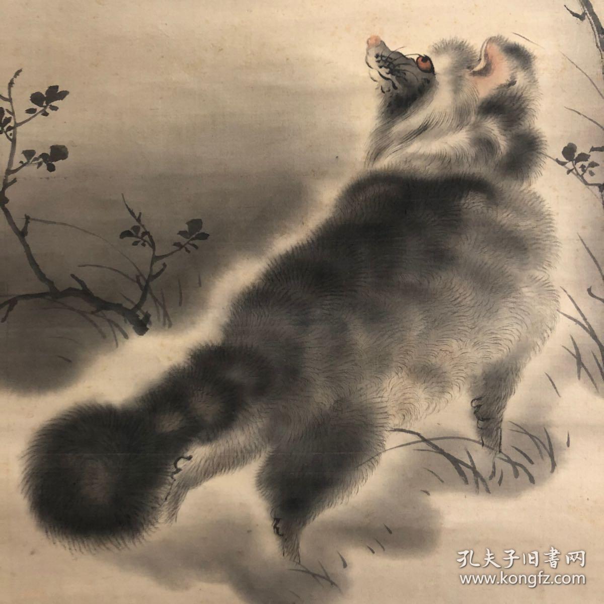 日本回流,狸猫望月图,绢本绫裱,装裱略有水渍,骨轴一对,花心41*105