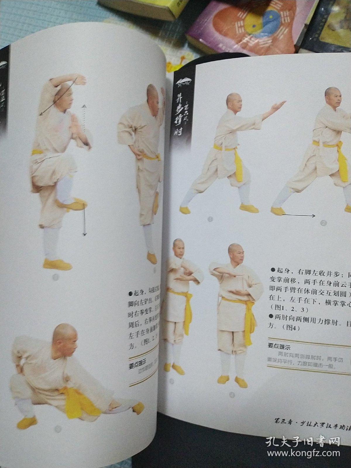 十八式弹跳双发 第三路第三段 第七十九式倒步三剑指 第八十式抱手