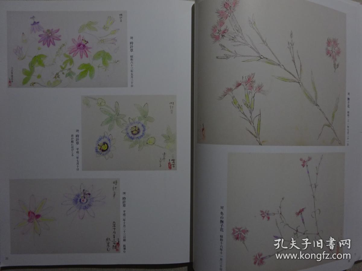全网唯一 四季之写生贴 草花篇(下) 守屋 多々志 工笔