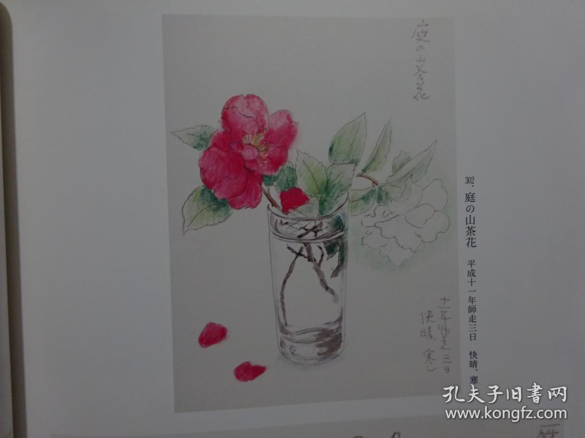 全网唯一 四季之写生贴 草花篇(下) 守屋 多々志 工笔