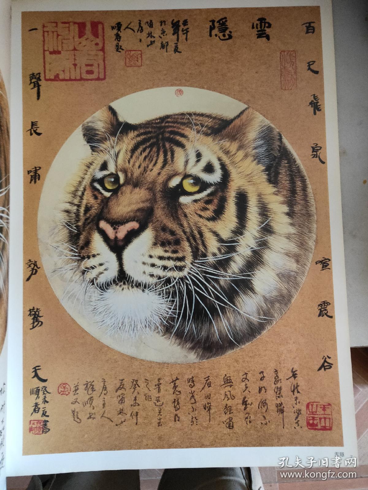 孟祥顺画虎作品精选