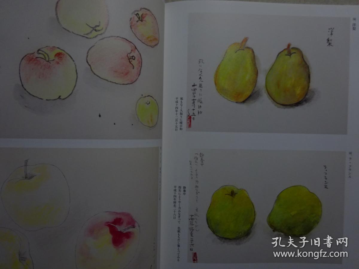 全网唯一 四季之写生贴 果实野菜篇 守屋 多々志 蔬果写生画集 日文
