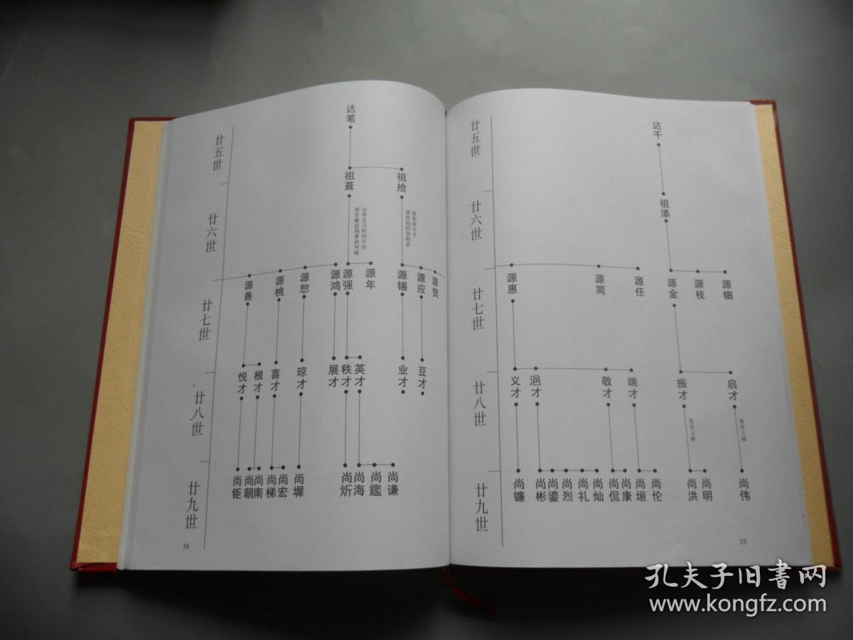 陈氏族谱( 广东佛山南海和顺棠溪村聚星堂编)