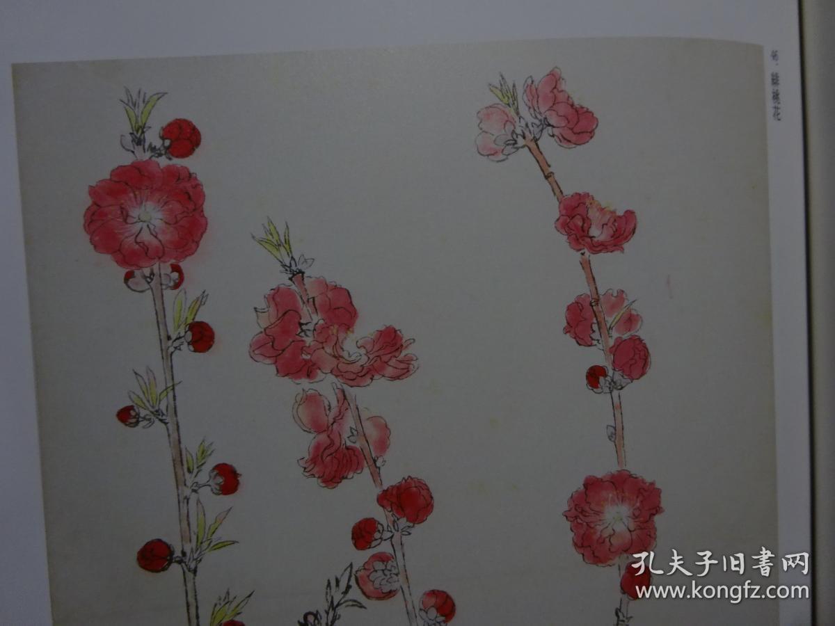 全网唯一 四季之写生贴 草花篇(上) 守屋 多々志 工笔