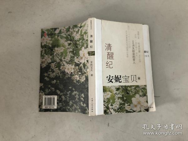 清醒纪(安妮宝贝)_简介_价格_文学书籍_孔网