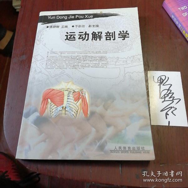 运动解剖学(人民体育出版社)_潘珊珊_孔夫子旧书网
