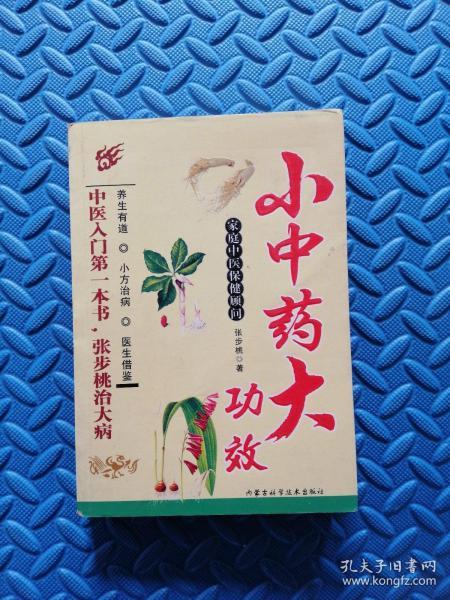 小中药 大功效—张步桃开药方