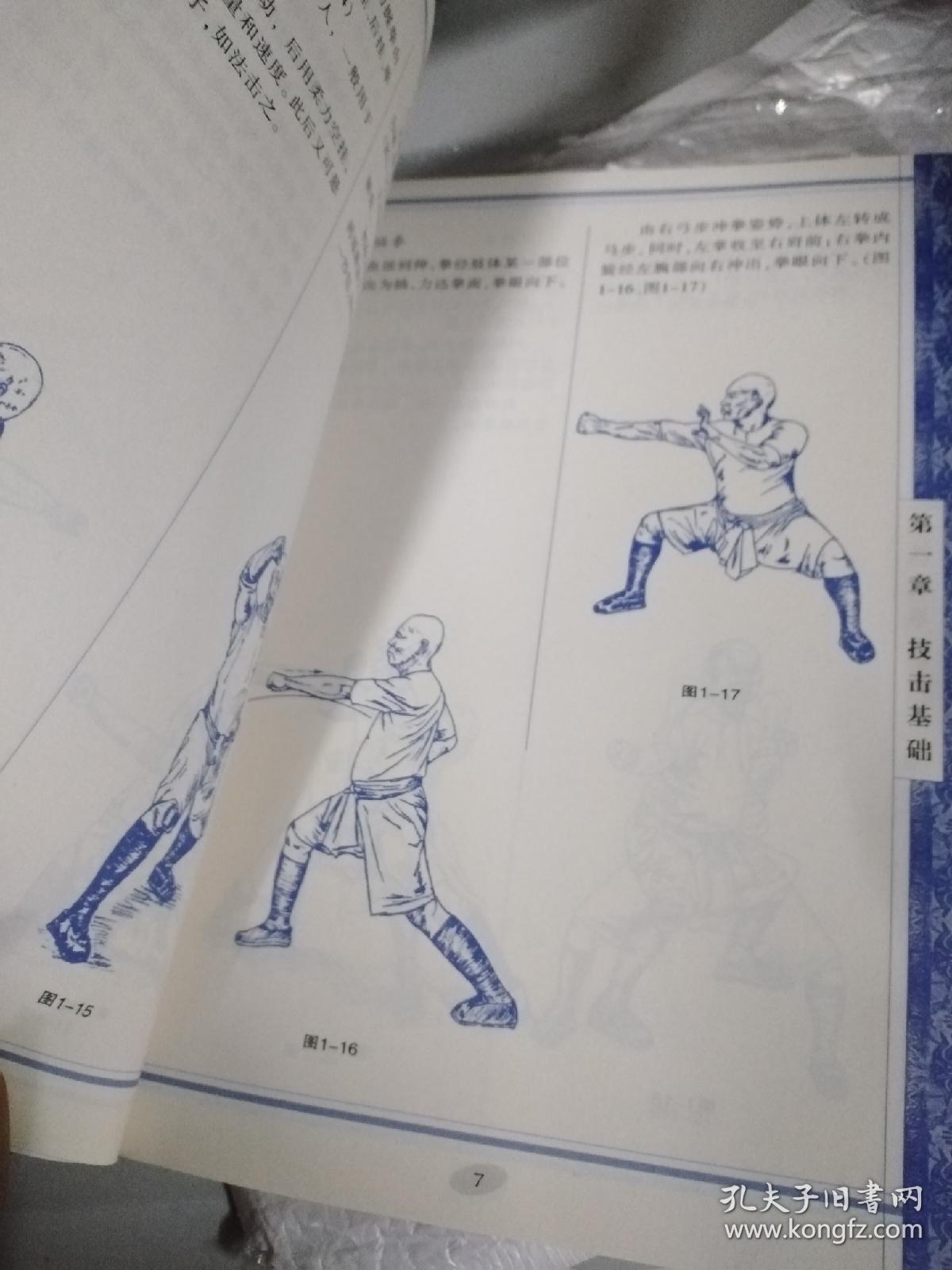 铁线拳技击术 田文林 洪家铁线拳经典珍藏版