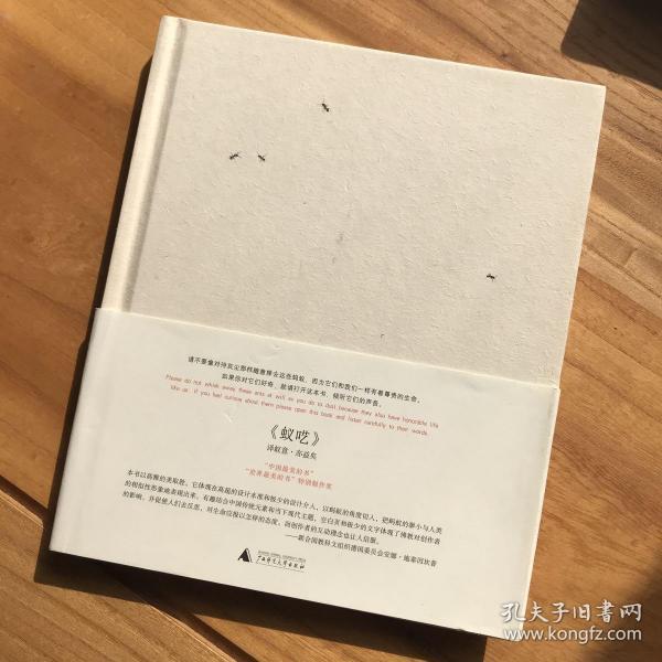 蚁呓