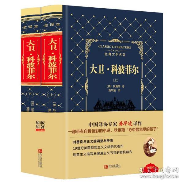 二手皮面精装名著 大卫科波菲尔 全2册 正版全套原著世界名著经典文学