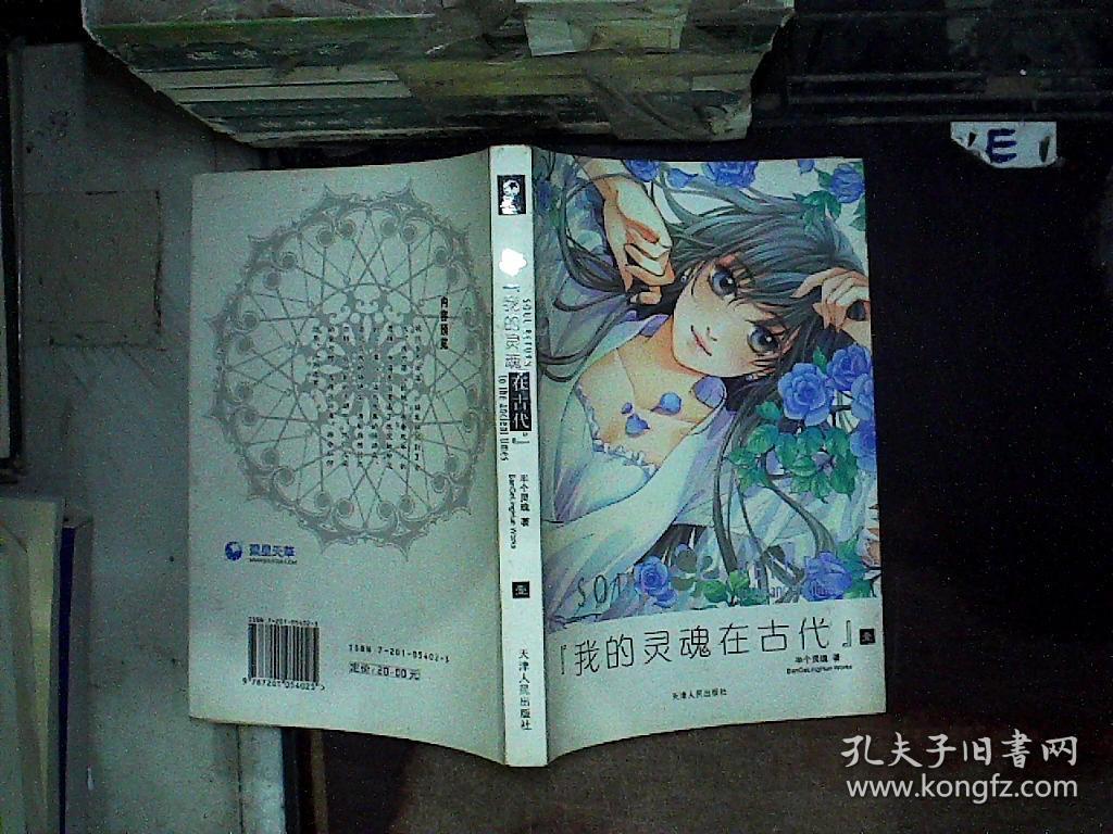 我的灵魂在古代壹
