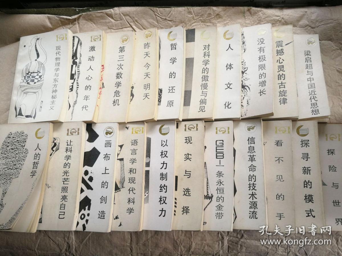 走向未来丛书(21本合售)