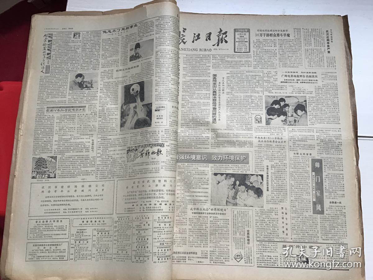长江日报 1986年6月1日-30日 原报合订本