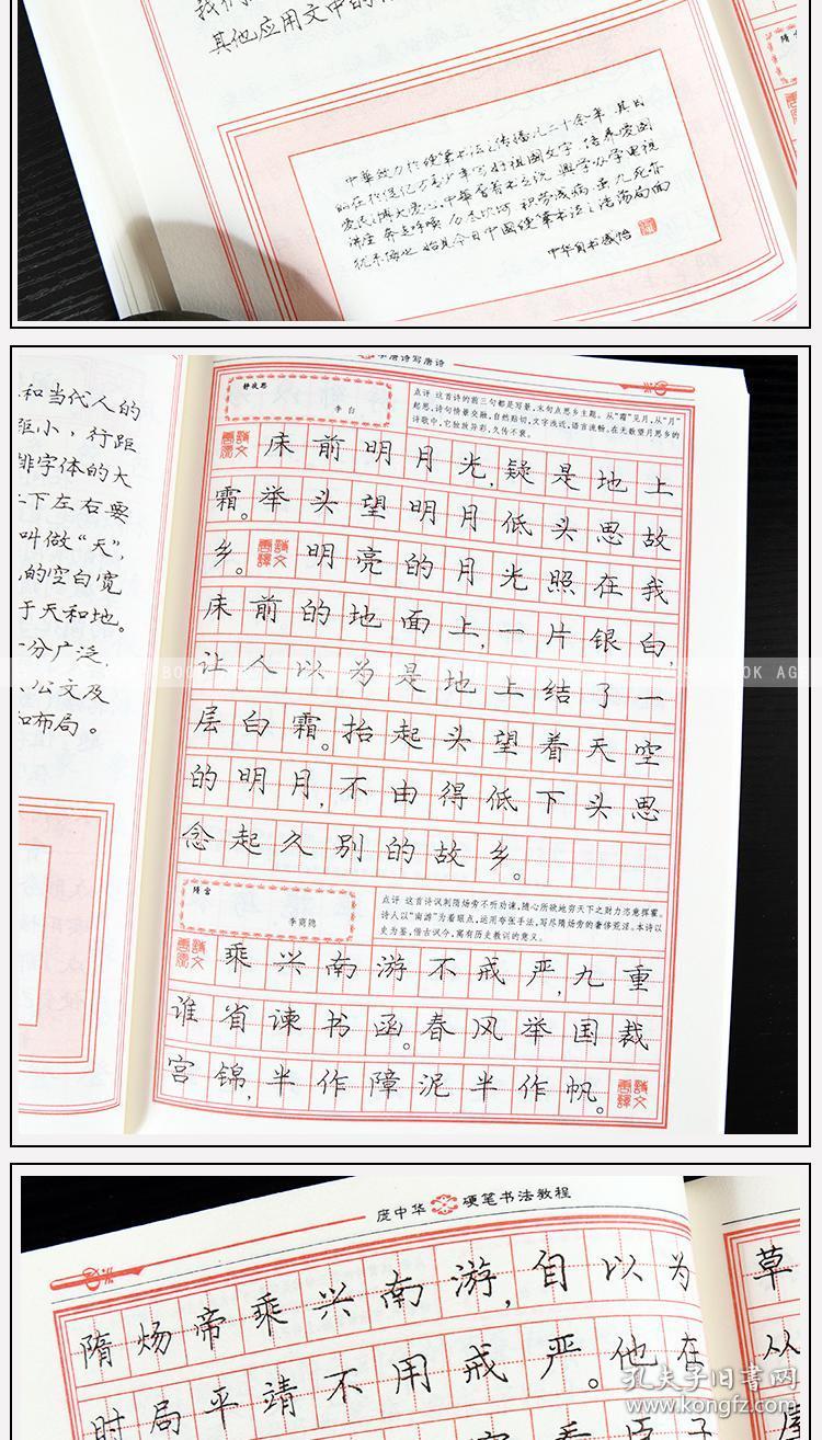 庞中华硬笔书法教程 上海交通大学出版社 全新 正版 书法技法 字帖