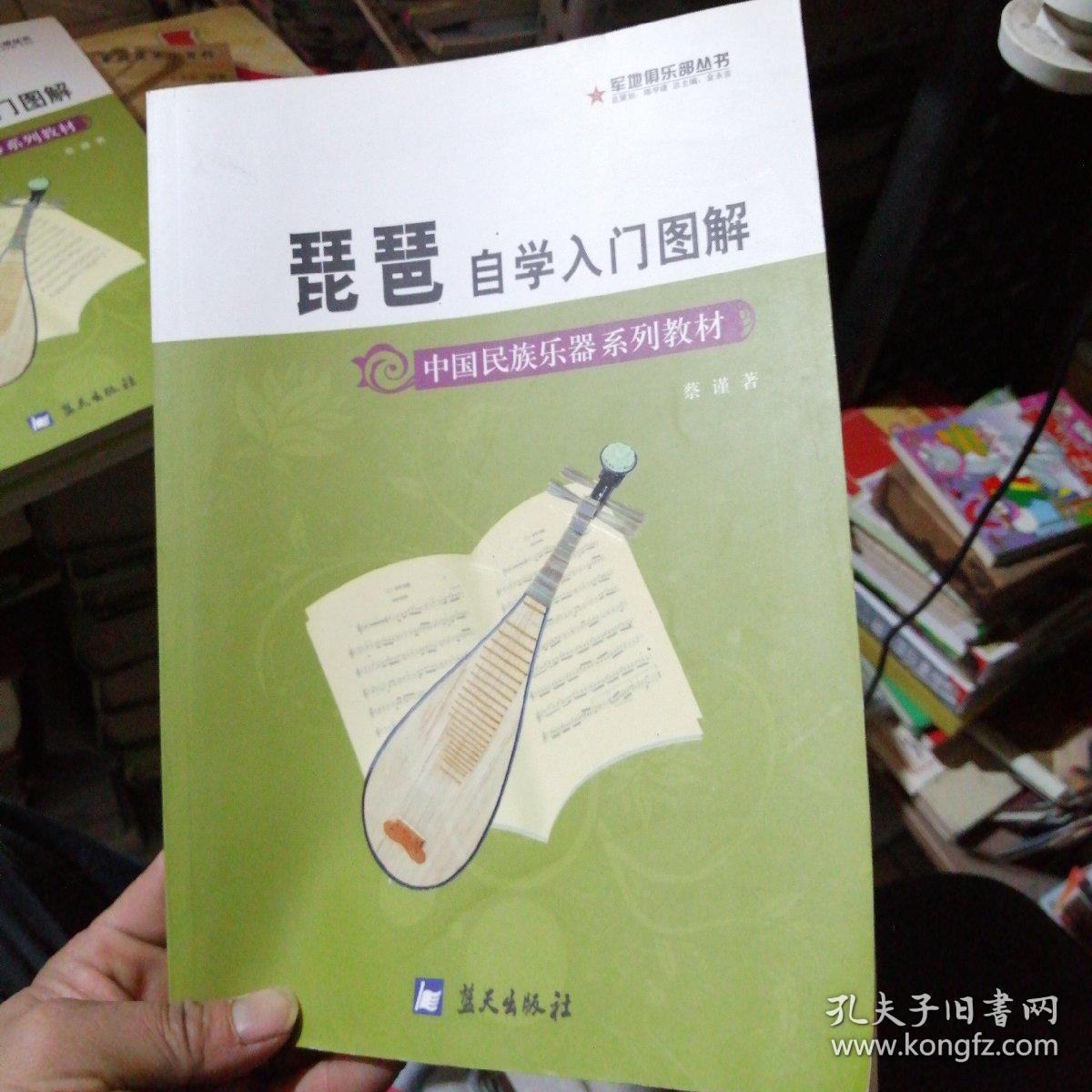琵琶自学入门图解