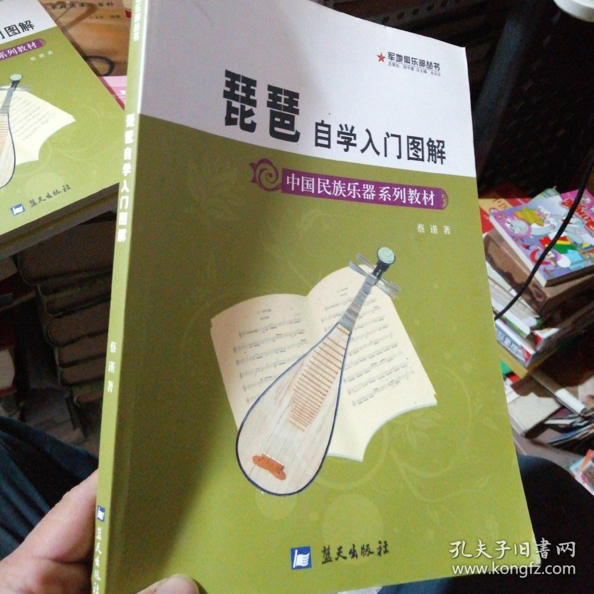 琵琶自学入门图解