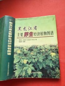邵树亭_图书标签_孔夫子旧书网