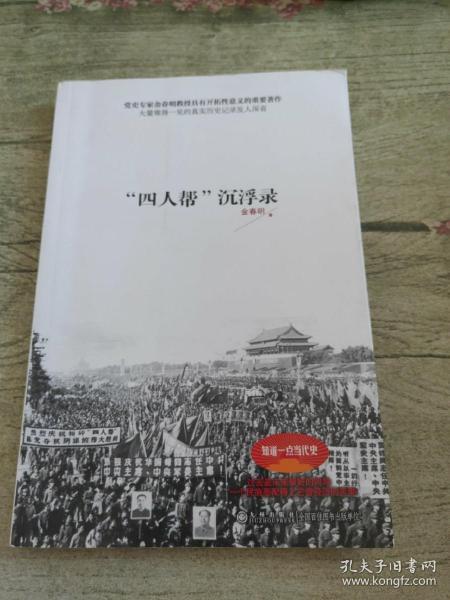 四人帮沉浮录