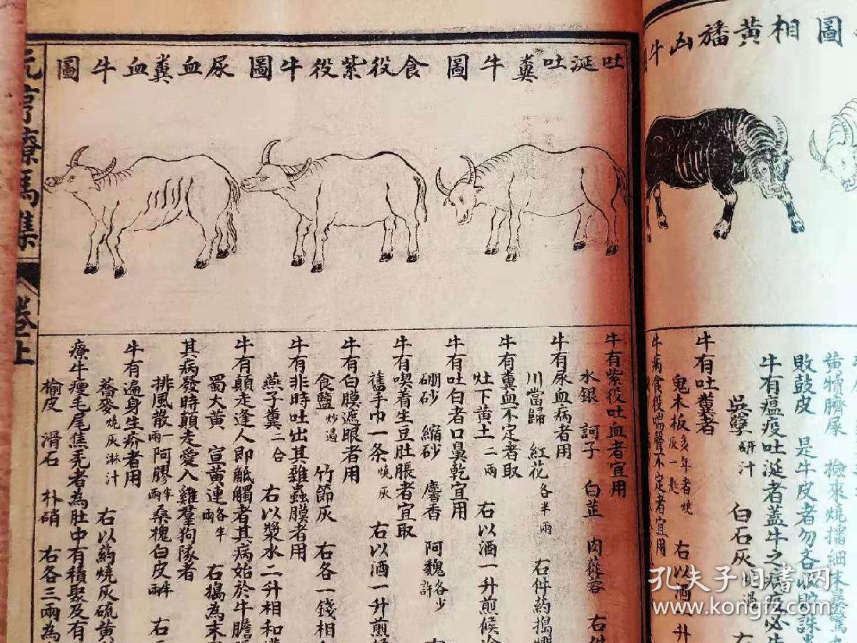 全书叙说详尽,尤以马经为最.