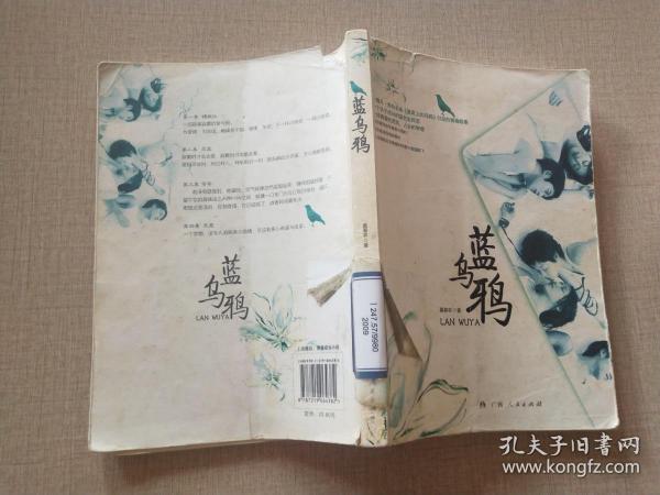 蓝 乌鸦