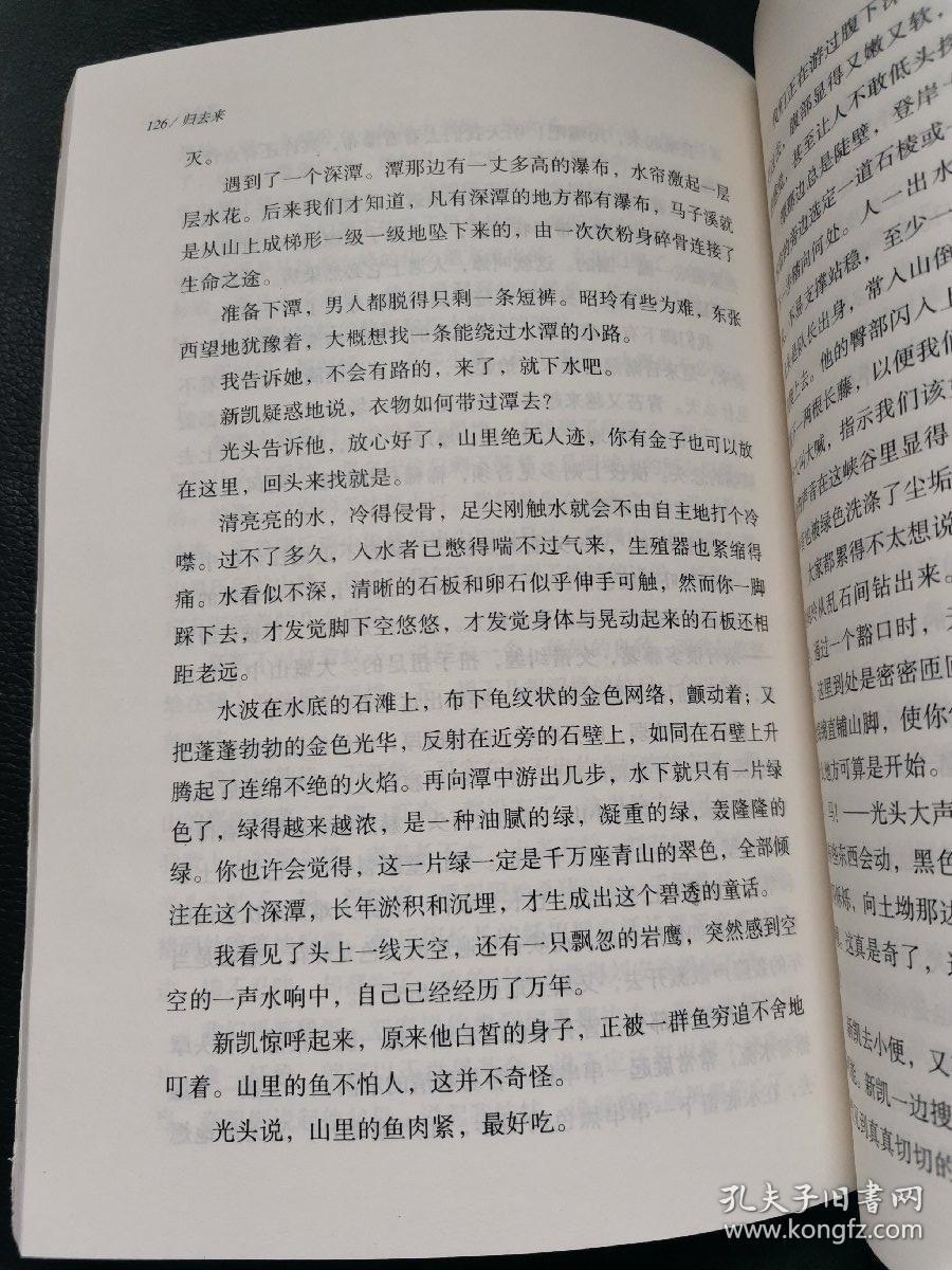归去来:韩少功短篇小说代表作