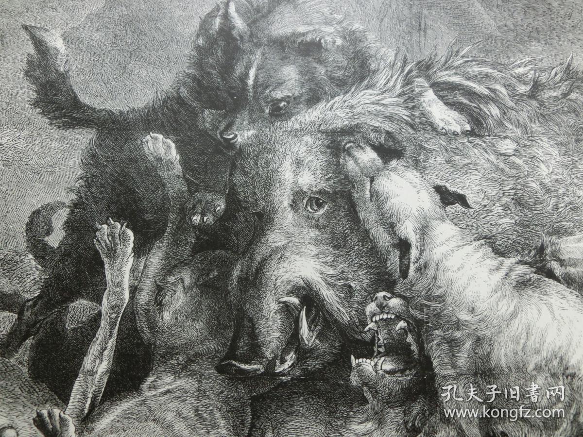 【百元包邮】《狩猎野猪》1881年 木刻版画 木口木刻