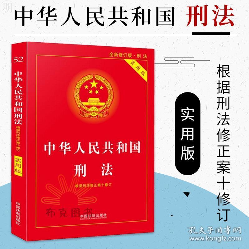 刑法法条2019 中华人民共和国刑法实用版 
