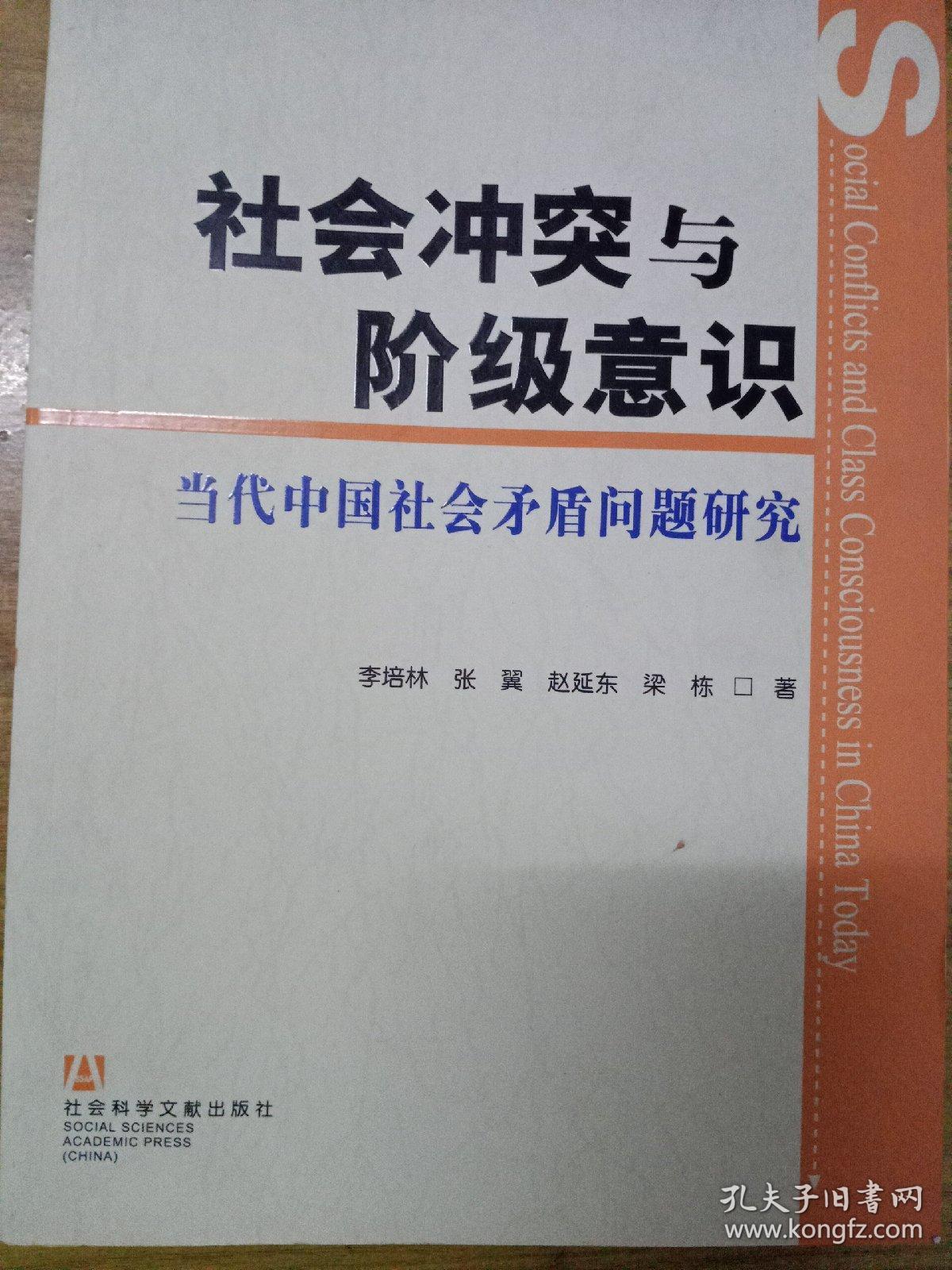 社会冲突与阶级意识:当代中国社会矛盾问题研究.