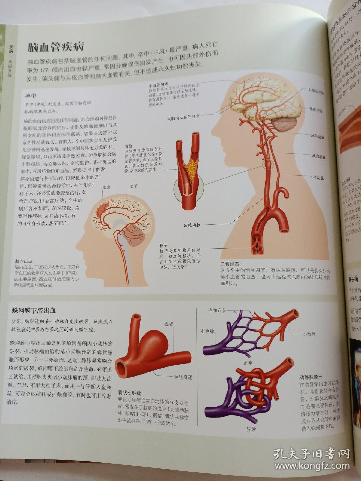 人体(第二版):人体结构,功能与疾病图解