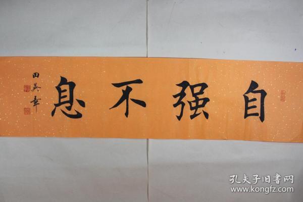 田英章老师书法 自强不息