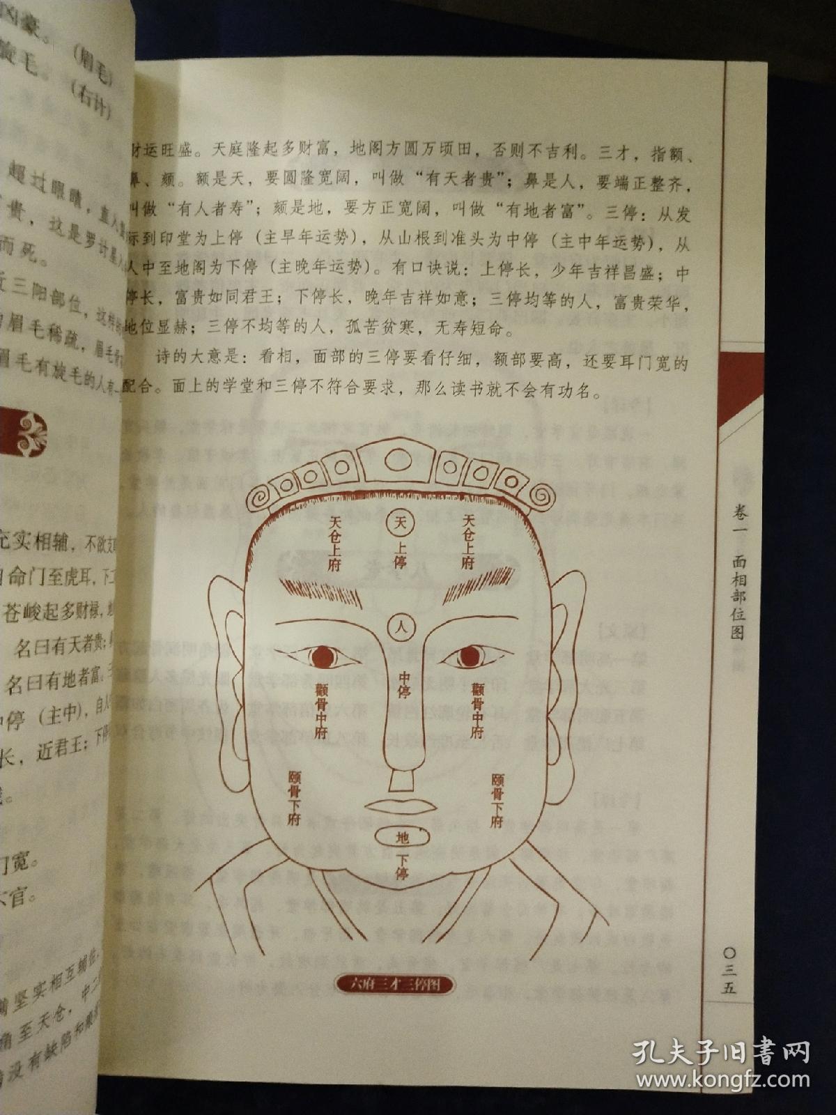 图解麻衣神相
