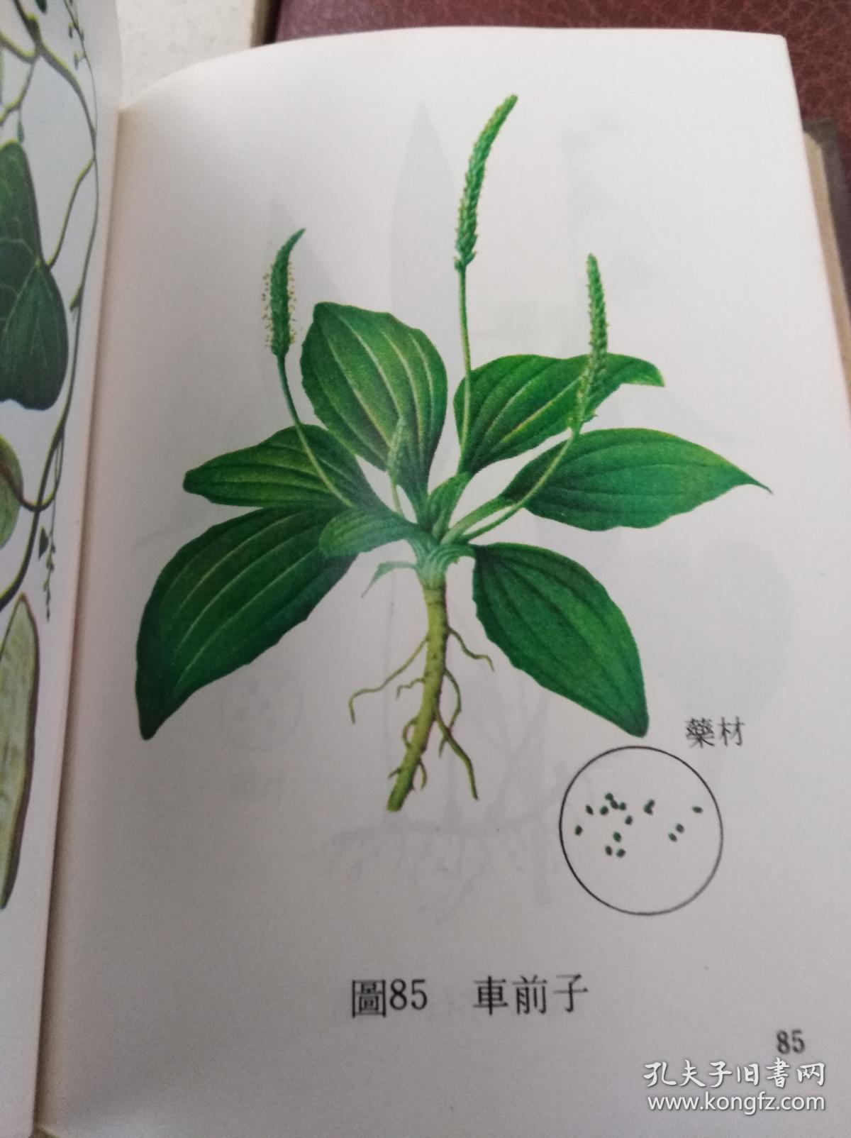 老医书: 常用中草药彩色图谱 77年精装繁仝本,包快递