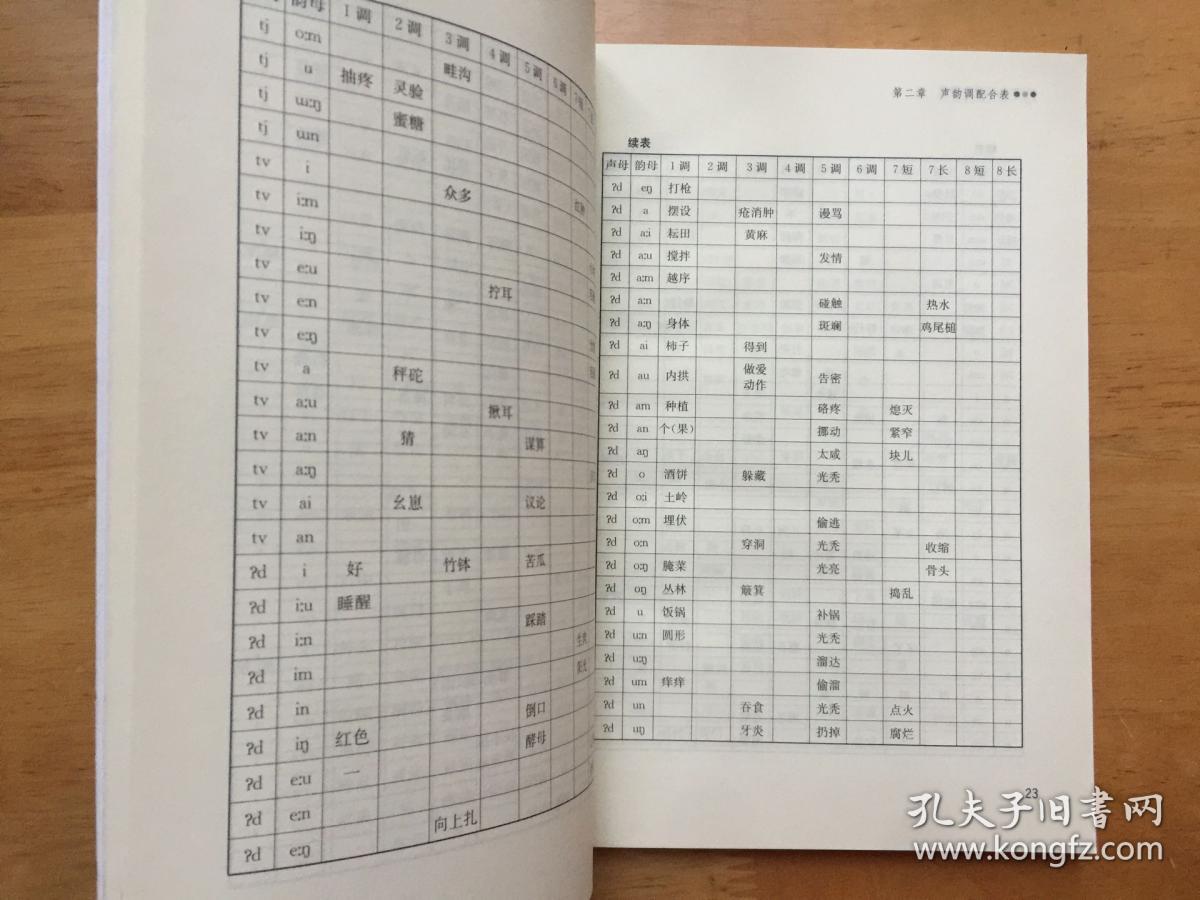 壮语壮文研究柳江壮语调查研究