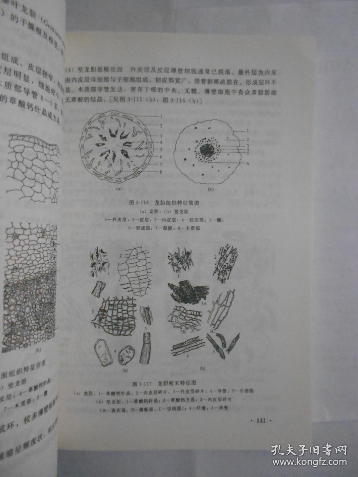 常用中药显微鉴定(16开)稀缺书.