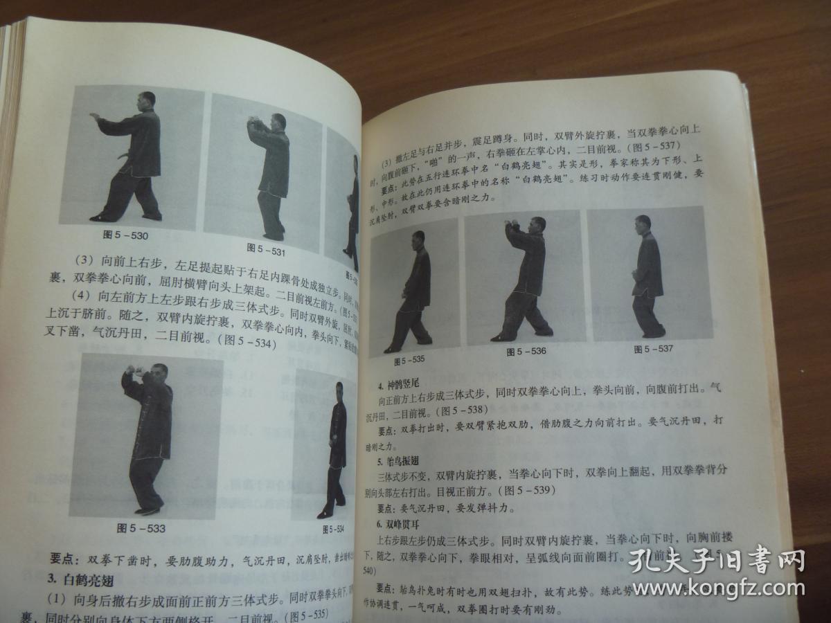 形意拳——十二形经典套路