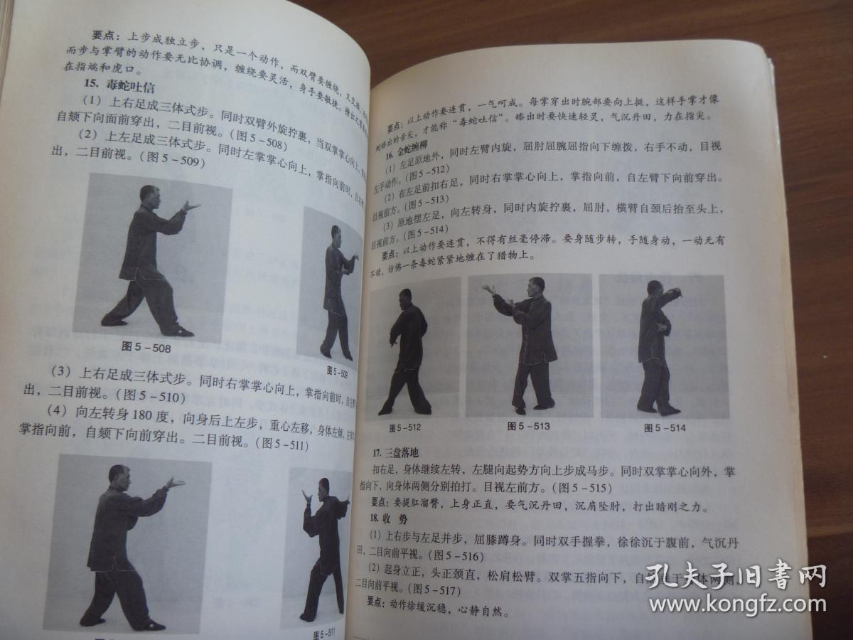 形意拳——十二形经典套路