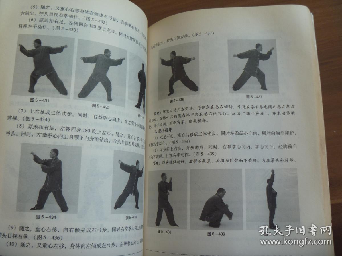 形意拳——十二形经典套路
