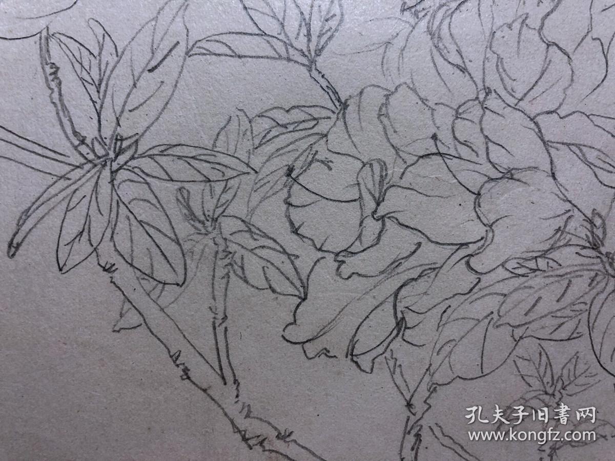 书画原作2925巴蜀画派名家江溶70年代工笔白描杜鹃花