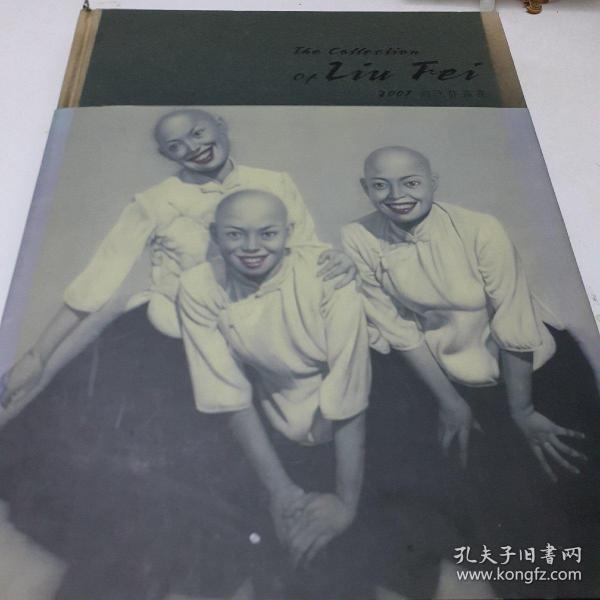 2007刘飞作品集