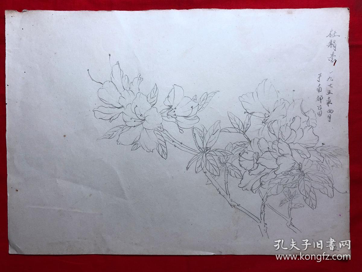 书画原作2925巴蜀画派名家江溶70年代工笔白描杜鹃花
