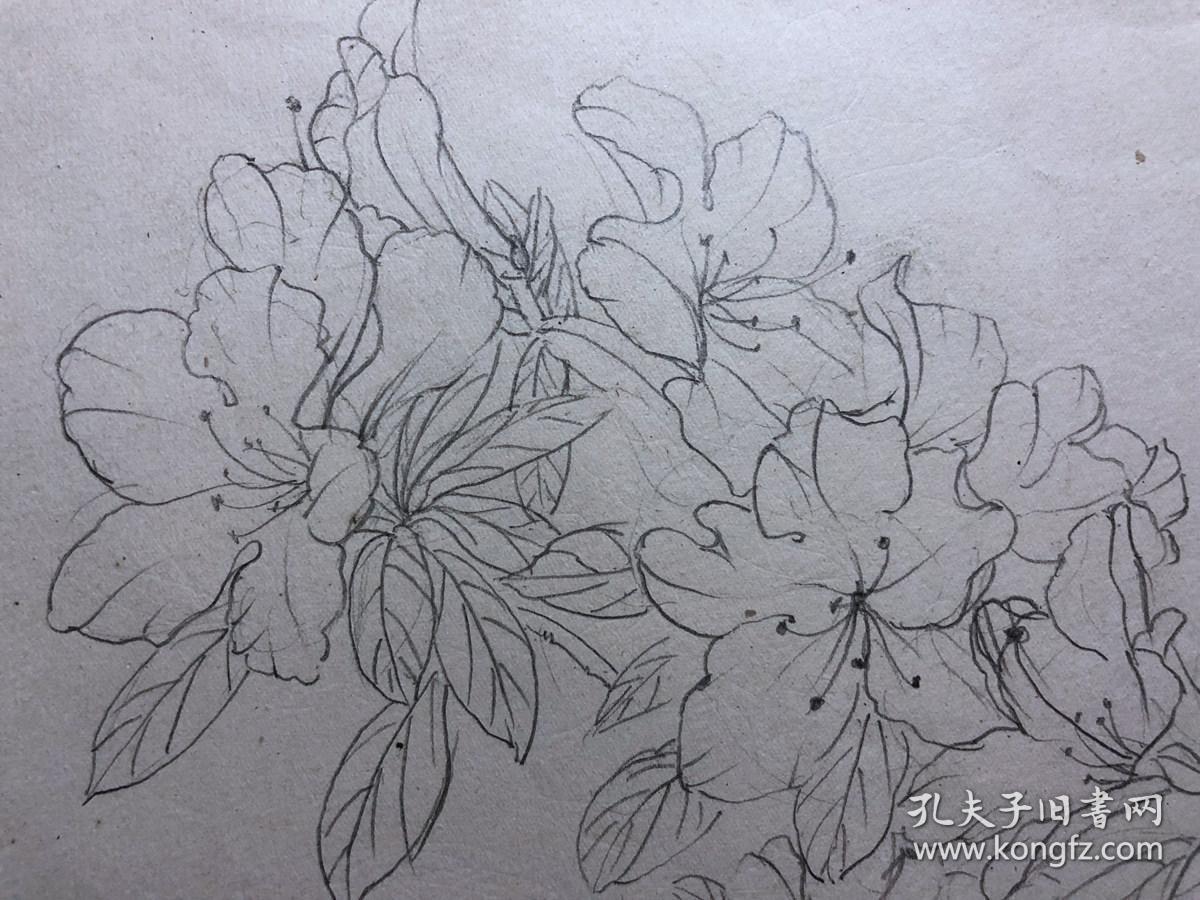 书画原作2928巴蜀画派名家江溶70年代工笔白描杜鹃花