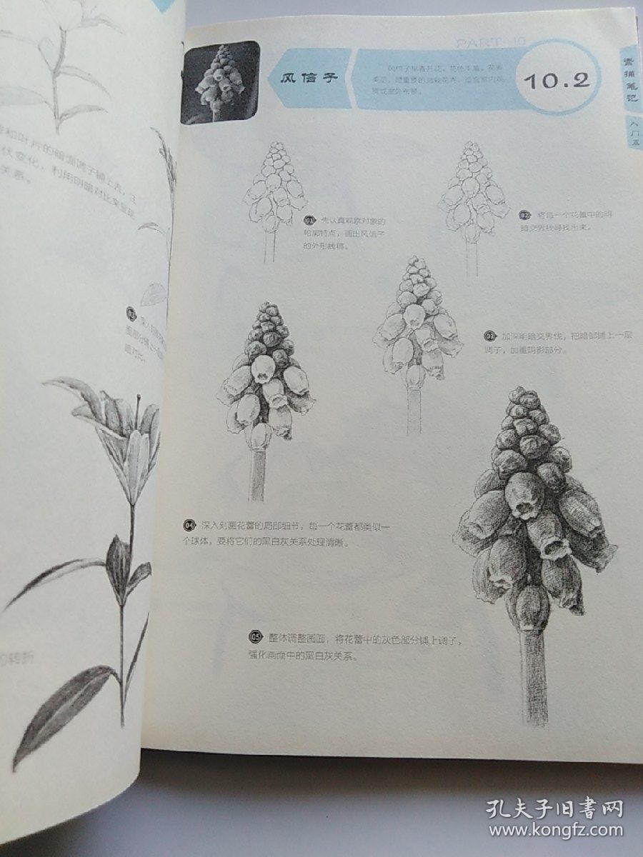 素描笔记·基础素描教程· 入门篇