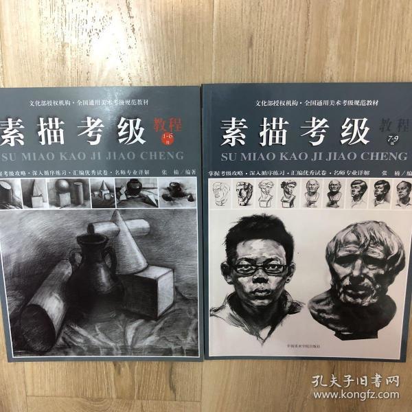 素描考级 1-6级 7-9级 两册合售 作者:张楠  著 出版社:中国美术学院