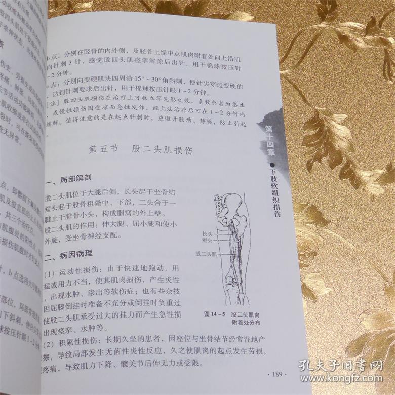 圆利针疗法:运动损伤中西医结合针灸疗法最新版胡超伟