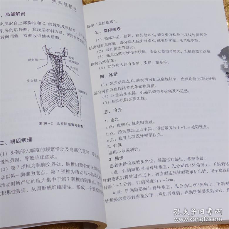 圆利针疗法:运动损伤中西医结合针灸疗法最新版胡超伟