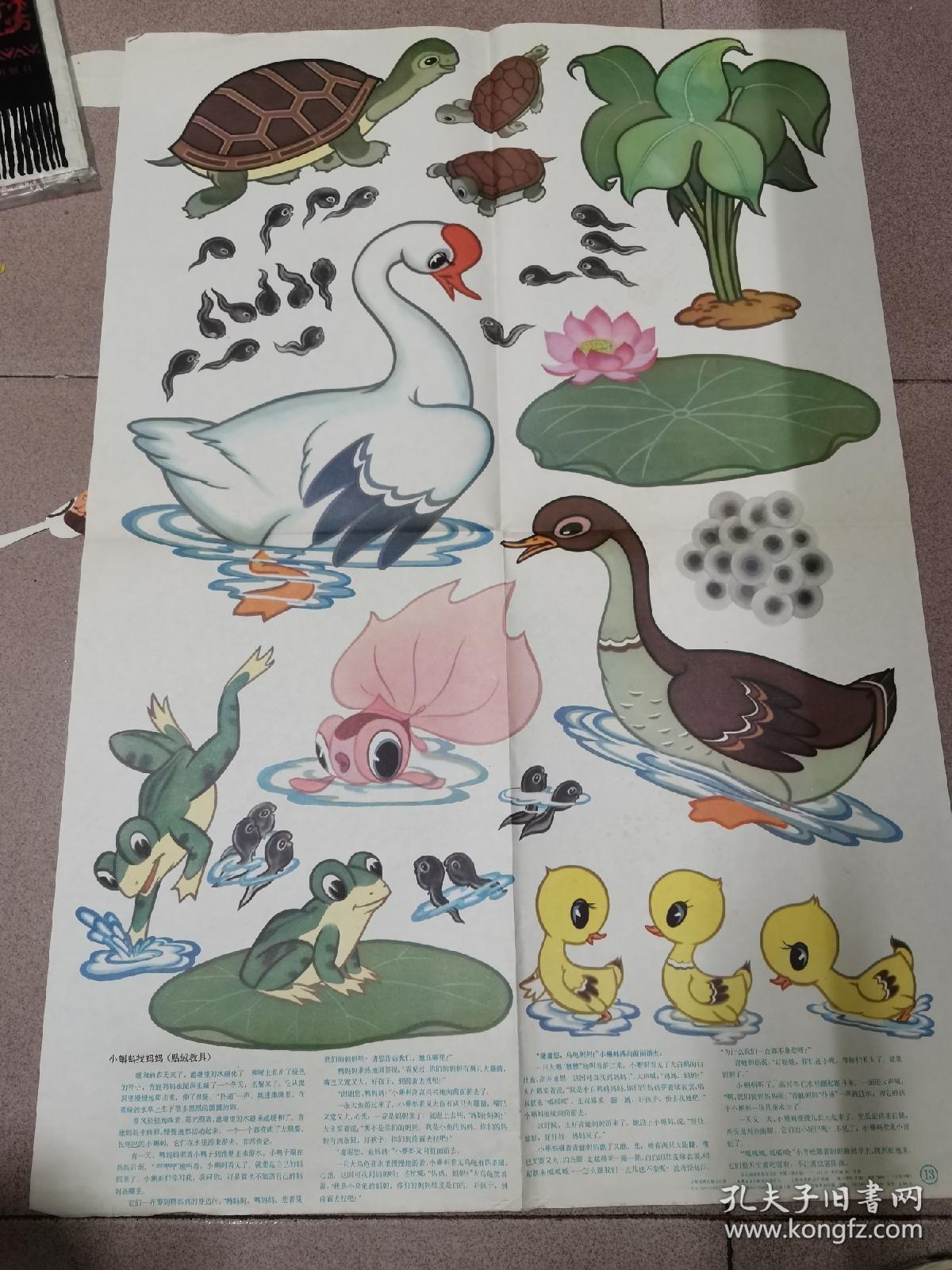 幼儿园故事教育挂图 大班 第五辑下【金鸡冠的公鸡-5全五张,神笔马良1