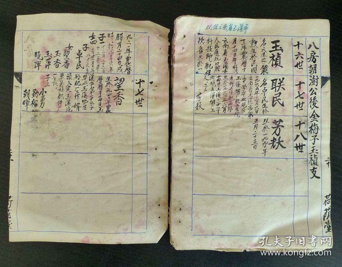 沈氏家谱 (荷荫堂 手抄本)